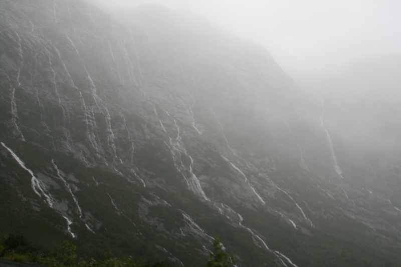 Nieuw-Zeeland 2011 - 1723